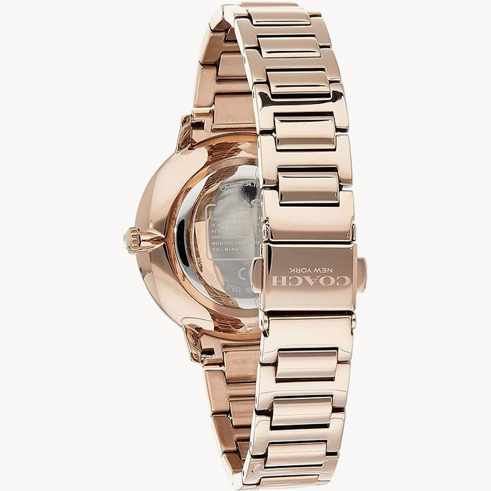 ساعة Coach 14503354 AUDREY النسائية، تناظرية