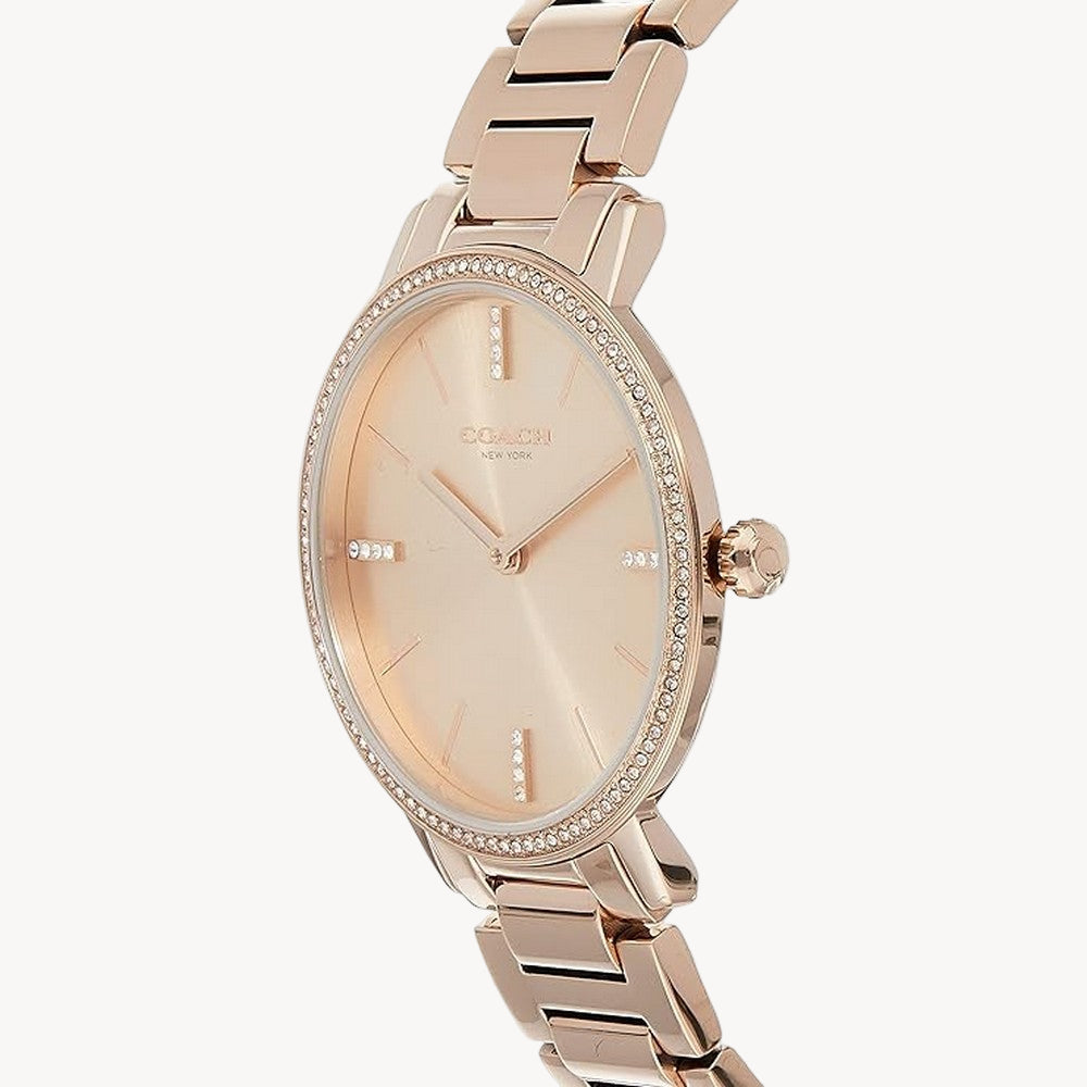 ساعة Coach 14503354 AUDREY النسائية، تناظرية