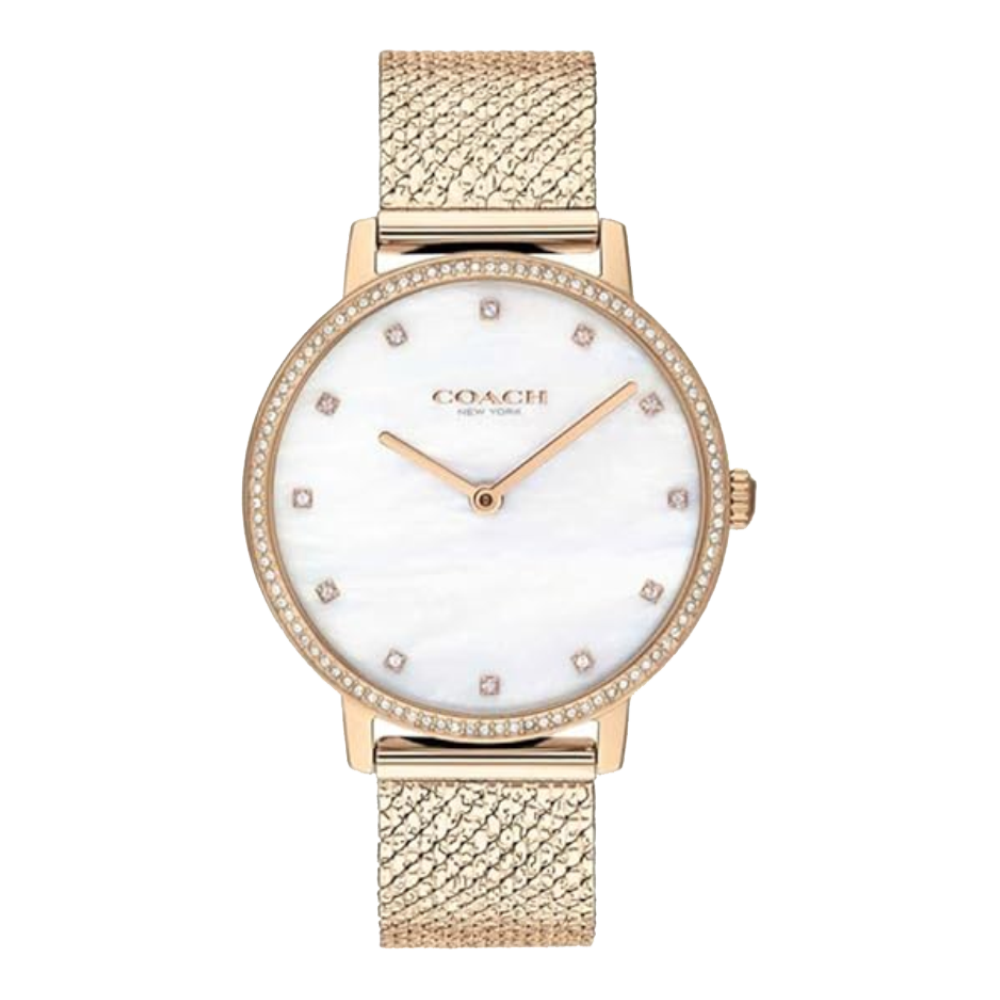 ساعة Coach 14503360 النسائية أودري بمينا أبيض وسوار من الفولاذ المقاوم للصدأ