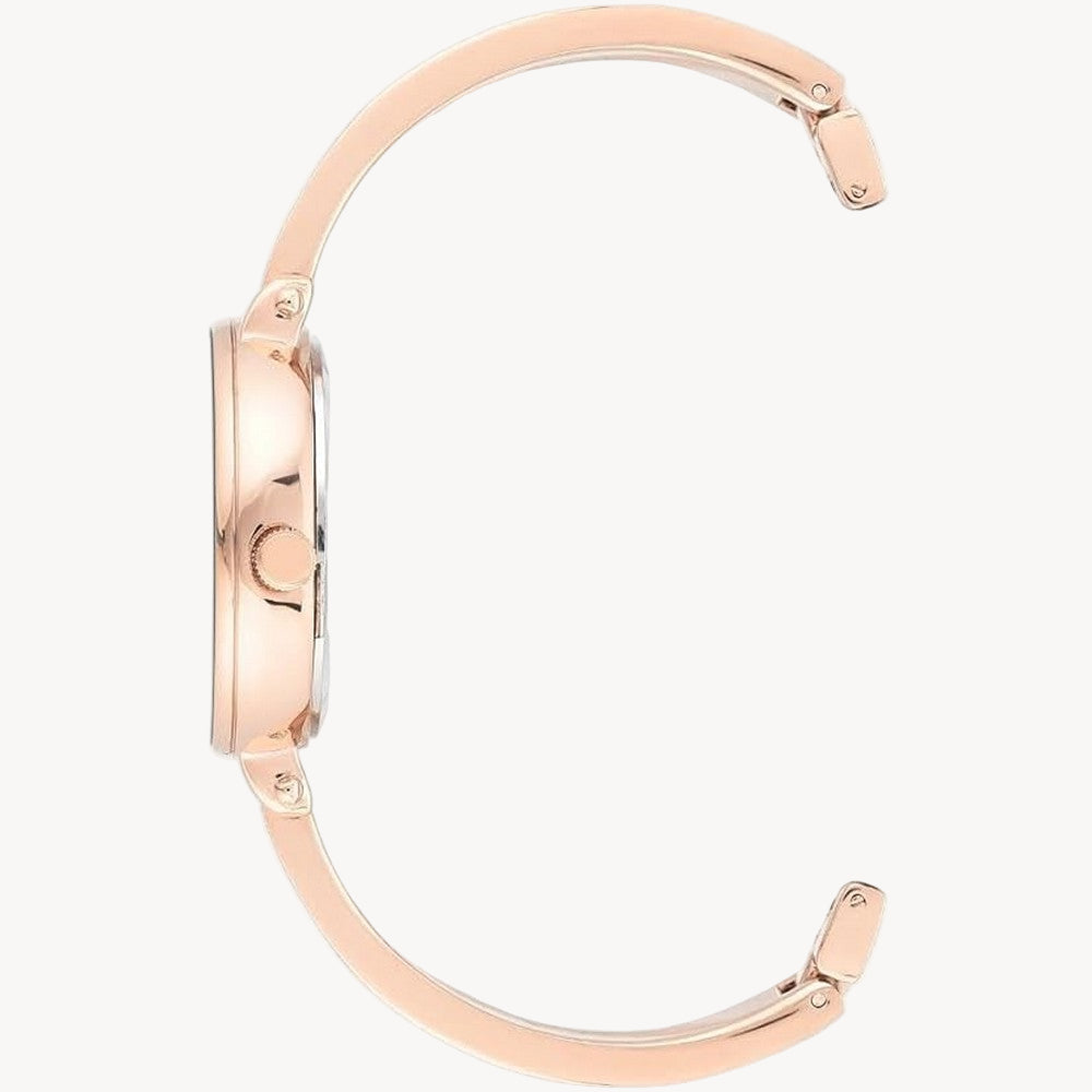 آن كلاين AK/3620BKST — ساعة نسائية بمينا أسود