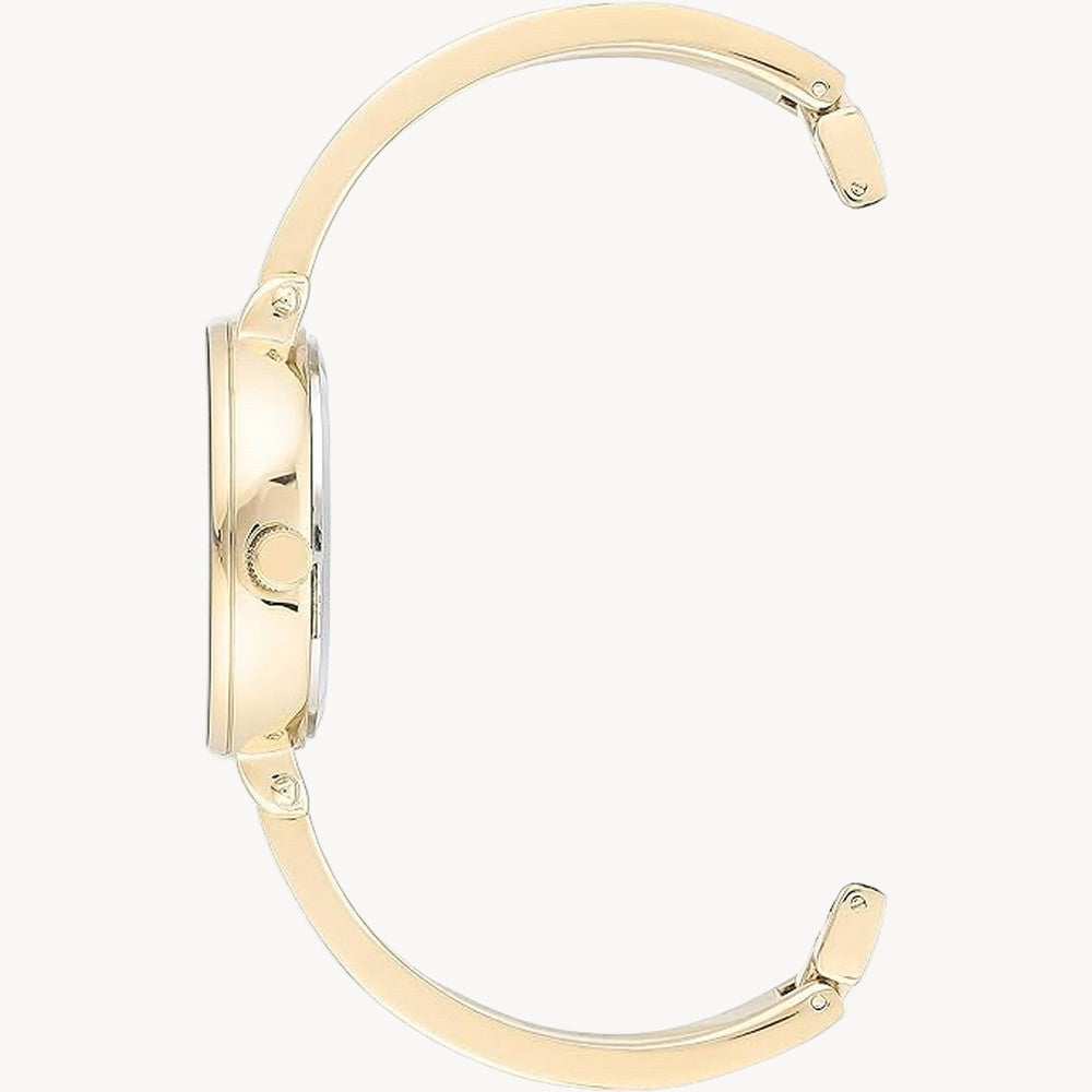 آن كلاين AK/3620PLST — ساعة نسائية بمينا أرجوانية