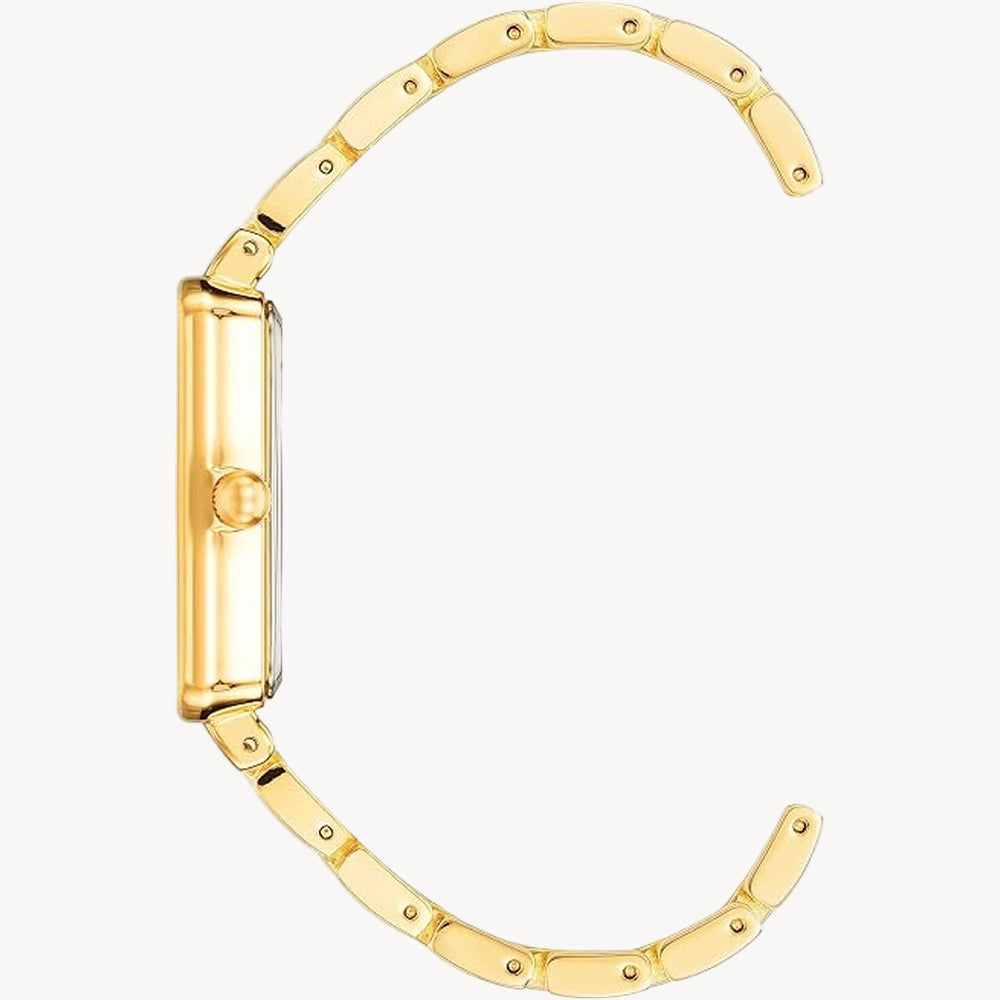 Anne Klein AK/3646CHGB — Champagne Dial Women’s Watch