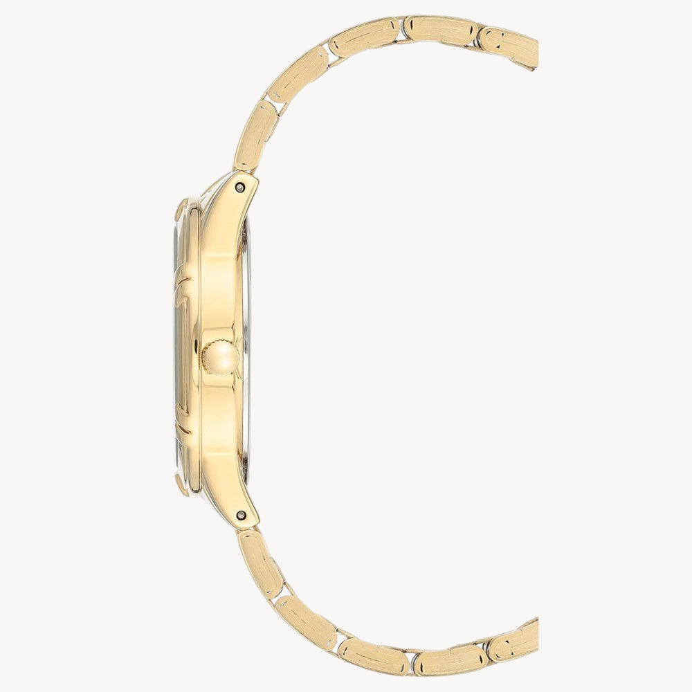 آن كلاين AK/3768BNGB — ساعة نسائية بمينا بني