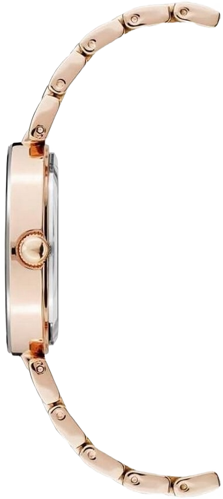 Anne Klein AK/1362BYRG Women's Ceramic Red Dial Watch