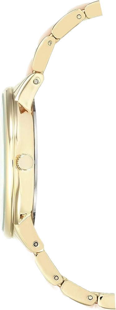Anne Klein Women's AK-1412BMGB Japanese Quartz Fashion Watch