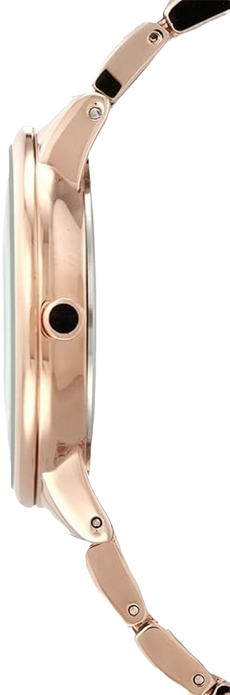 ANNE KLEIN AK/1412BTRG women's watch model