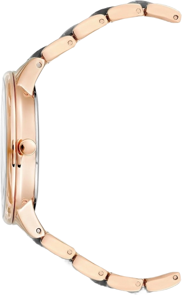 Anne Klein AK/1412GYRG Women's Resin Bracelet Watch