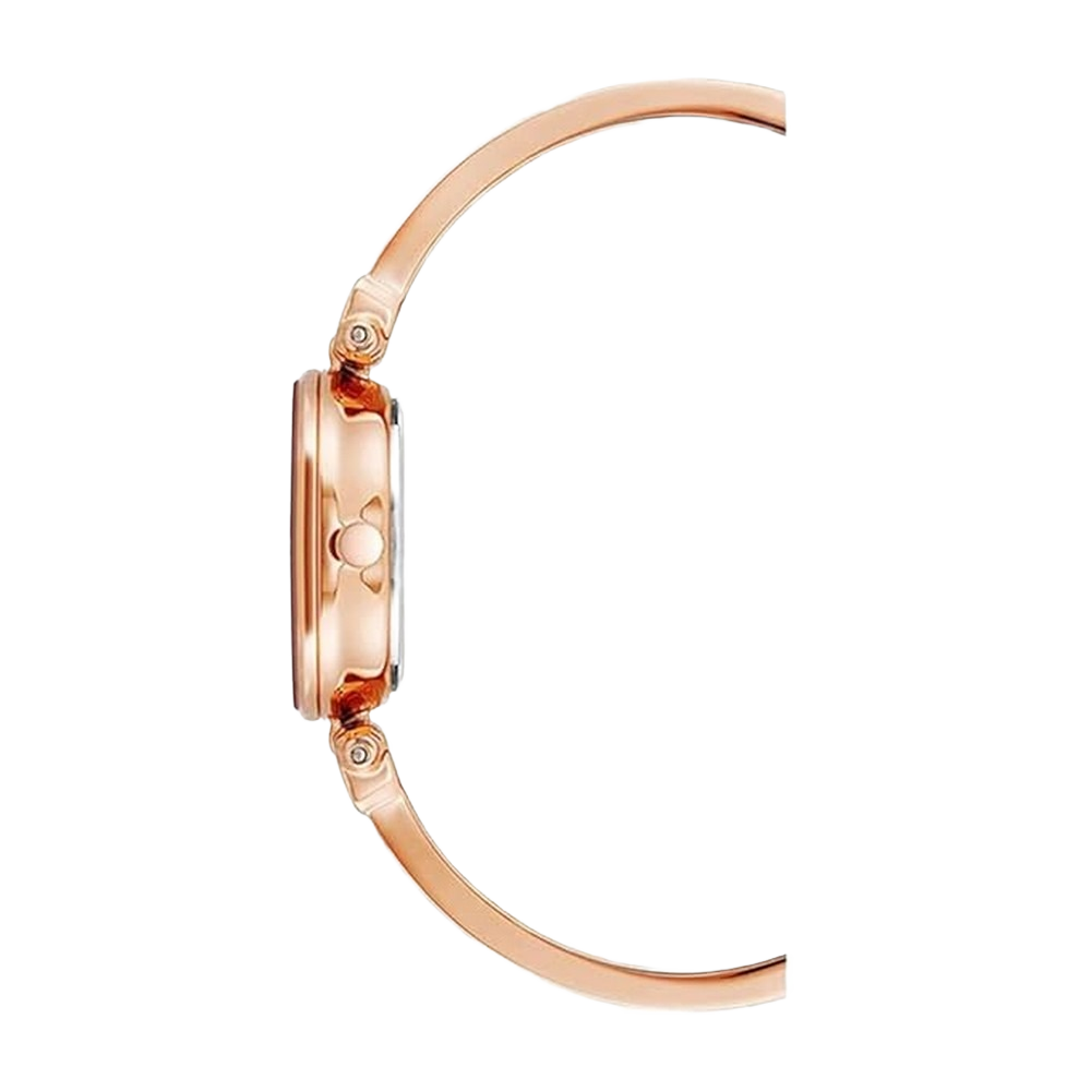 Anne Klein AK/1980BYRG Women's Genuine Diamond Dial Bangle Watch