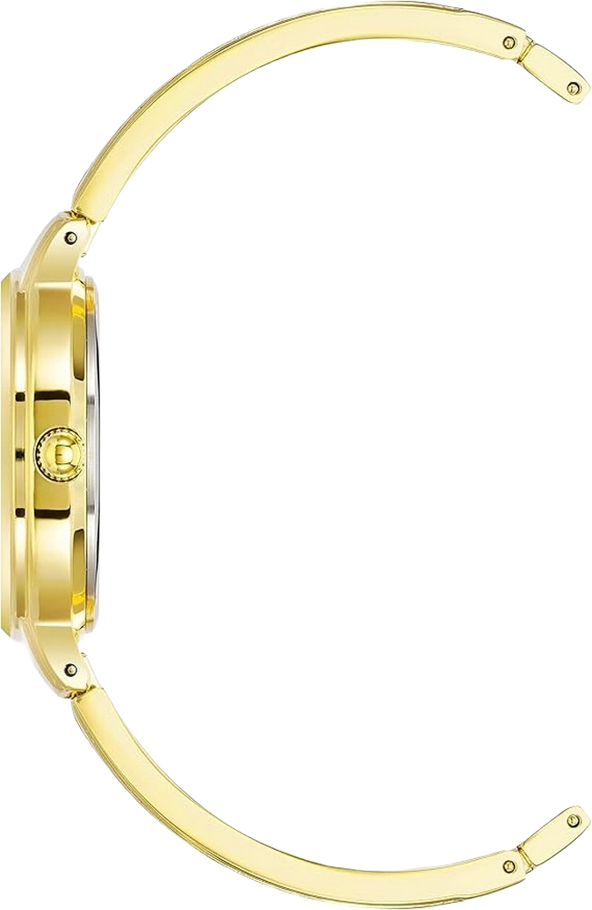 Anne Klein AK/2626BKGB Women's Genuine Diamond Dial Bangle Watch
