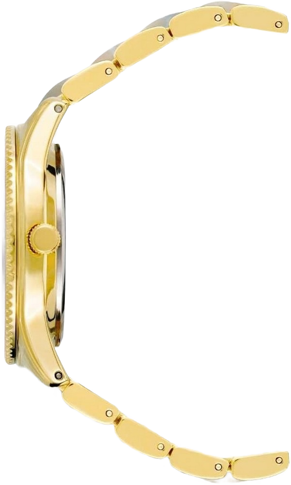 Anne Klein AK/3214LBGB Women's Japanese Quartz Dress Watch