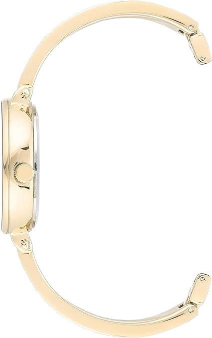 Anne Klein AK-3620BLST Women's Elegant Diamond Dial Gold-Tone Bangle Watch