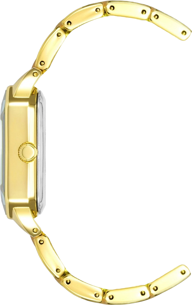 Anne Klein AK/3972GPBN Women's Resin Bracelet Watch