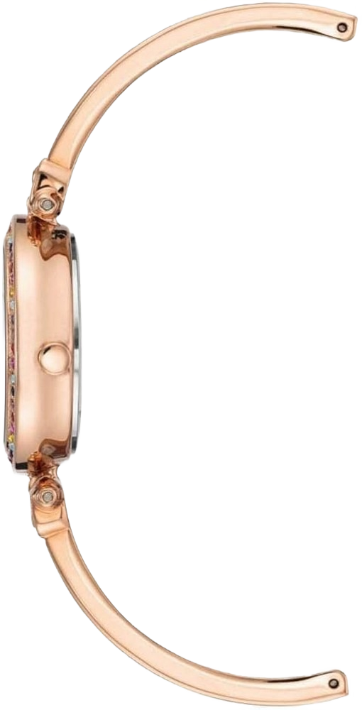 Anne Klein AK/3974BKST Women's Premium Crystal Accented Bangle Watch and Bracelet Set