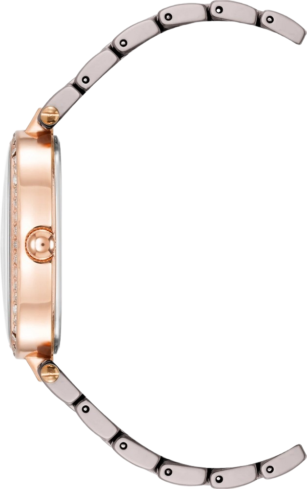 Anne Klein AK/3996RGTP Women's Three-Hand Quartz Taupe Ceramic Bracelet Watch