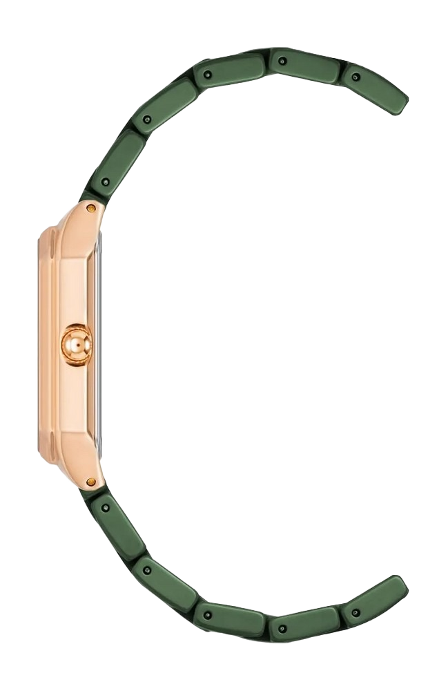 Anne Klein AK4034RGGN Womens Watch