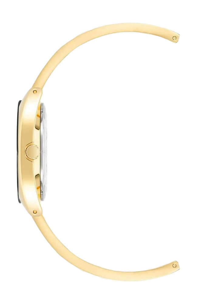 Anne Klein AK/4040GPBK Women Analog Enamel Watch