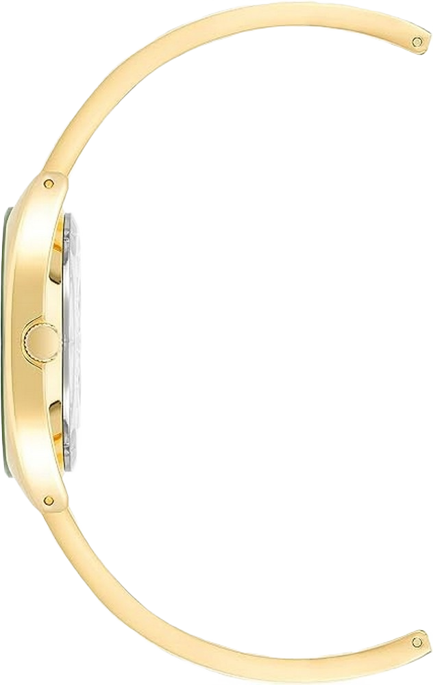 Anne Klein AK/4040GPGN Women's Genuine Diamond Dial Bangle Watch