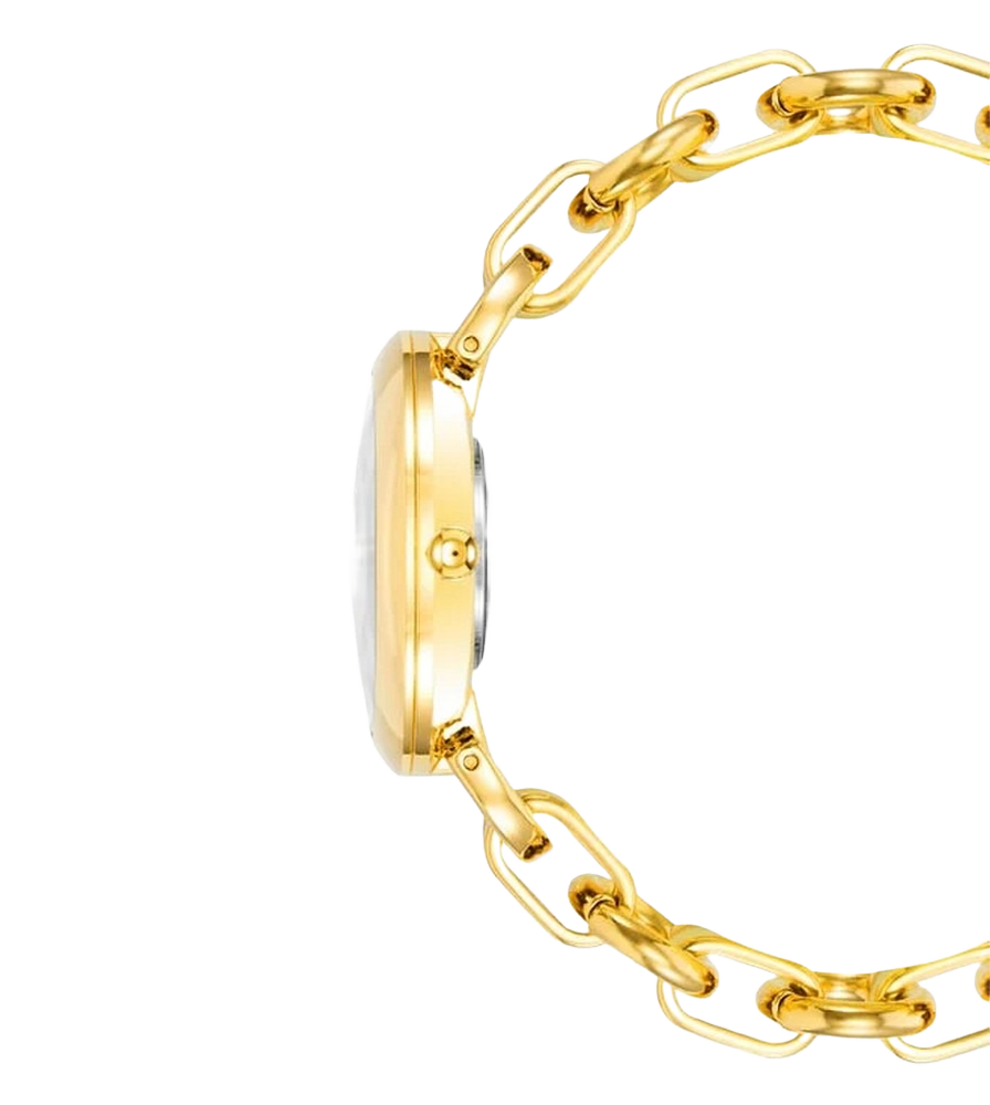 Anne Klein AK4092BKGB Analog Watch for Women