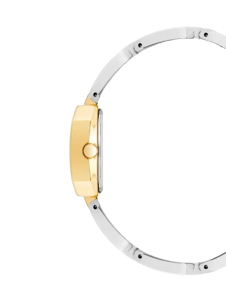 ANNE KLEIN AK/4149SVTT Women s wrist watch