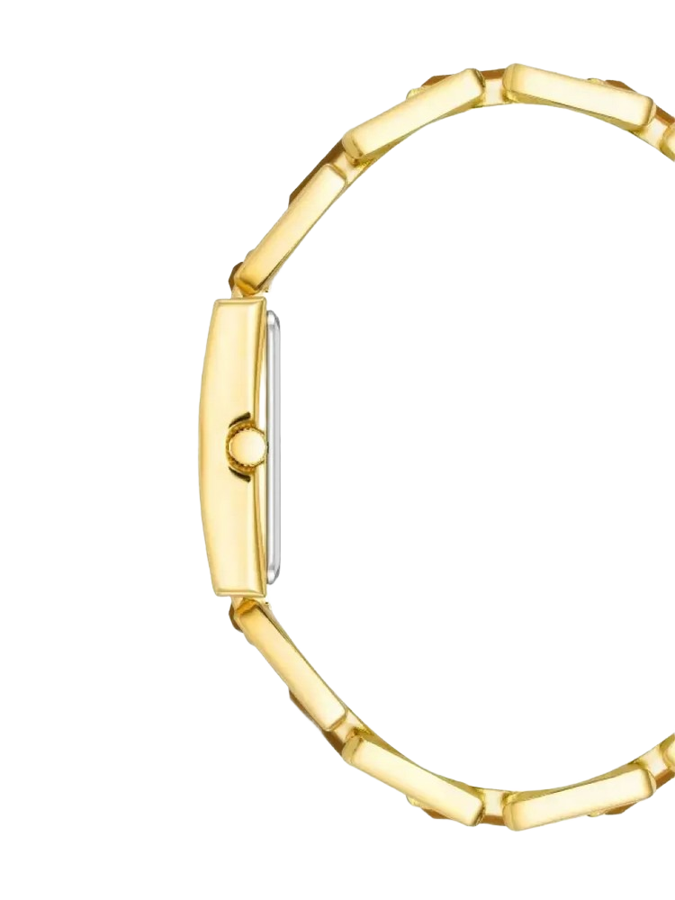 ANNE KLEIN AK/4156TEGB Quartz Analog Brow/Gold